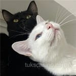 Avatar de Florencia Armenta